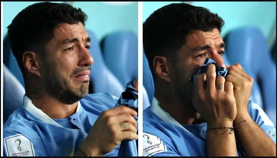 Luis Suarez left inconsolable after watching South Korea beat Portugal to eliminate Uruguay from World Cup